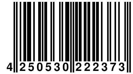 4 250530 222373