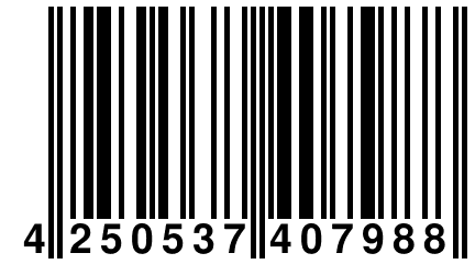 4 250537 407988