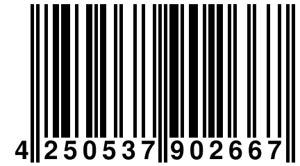 4 250537 902667