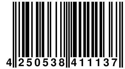 4 250538 411137