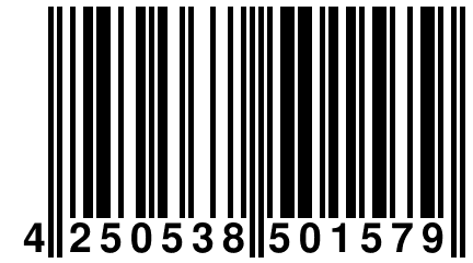 4 250538 501579