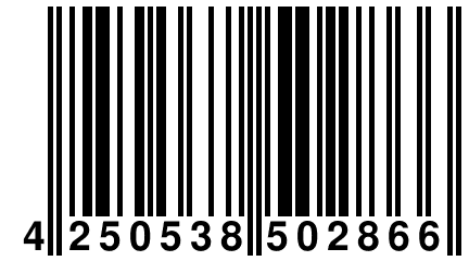 4 250538 502866