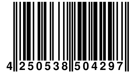 4 250538 504297