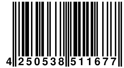 4 250538 511677