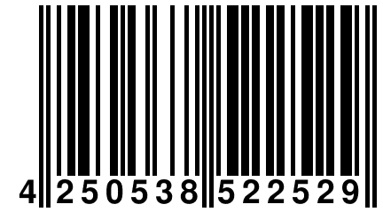 4 250538 522529