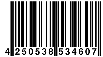 4 250538 534607