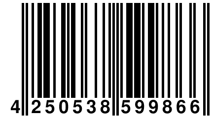 4 250538 599866