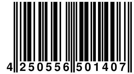 4 250556 501407