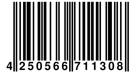 4 250566 711308