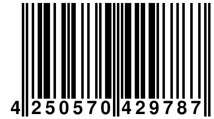 4 250570 429787