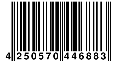 4 250570 446883