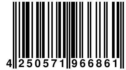 4 250571 966861