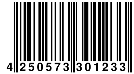 4 250573 301233