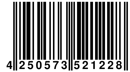 4 250573 521228