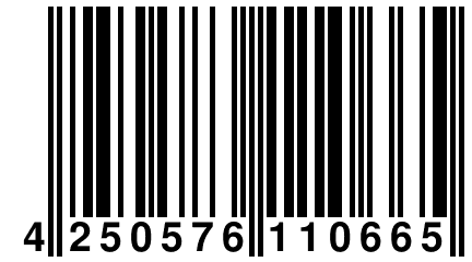 4 250576 110665