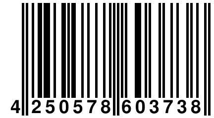 4 250578 603738