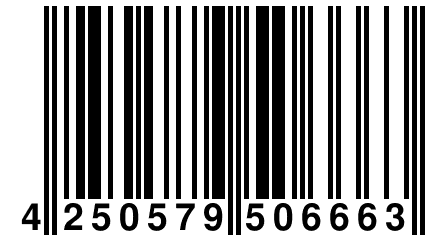 4 250579 506663