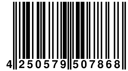 4 250579 507868