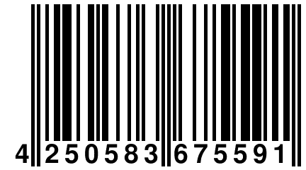 4 250583 675591