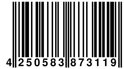 4 250583 873119