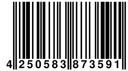 4 250583 873591