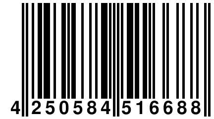 4 250584 516688