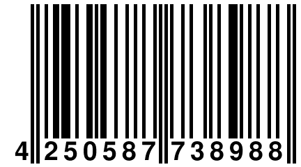 4 250587 738988