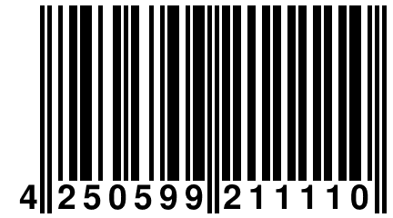 4 250599 211110