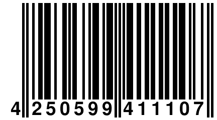 4 250599 411107