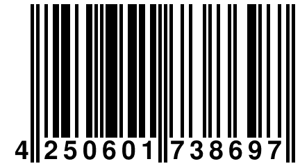 4 250601 738697