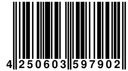 4 250603 597902