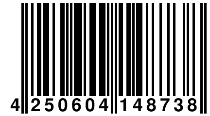 4 250604 148738