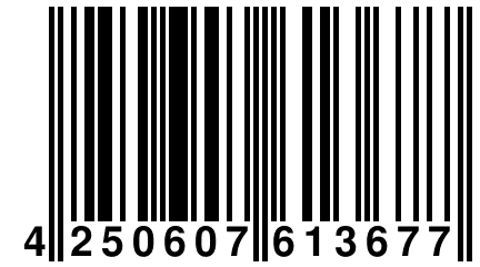 4 250607 613677