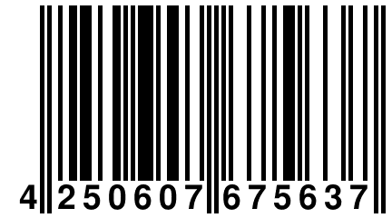 4 250607 675637