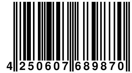 4 250607 689870