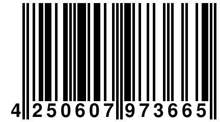 4 250607 973665