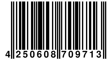 4 250608 709713