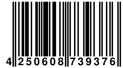 4 250608 739376