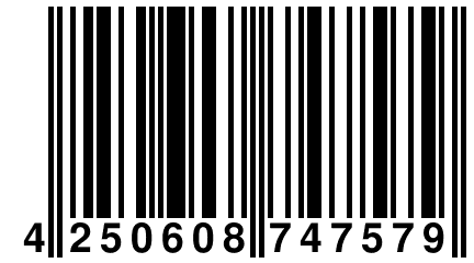 4 250608 747579