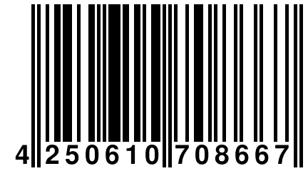 4 250610 708667