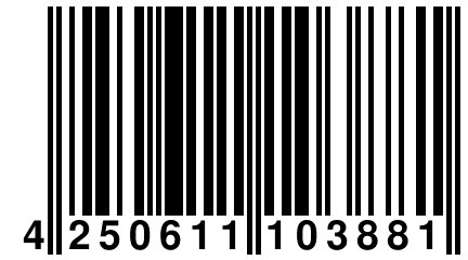 4 250611 103881