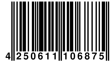 4 250611 106875