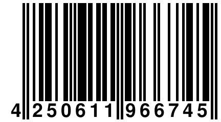 4 250611 966745