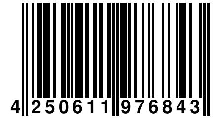 4 250611 976843