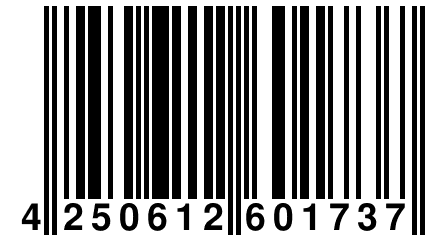 4 250612 601737