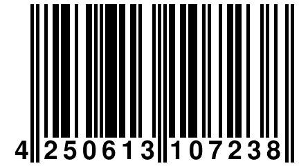 4 250613 107238