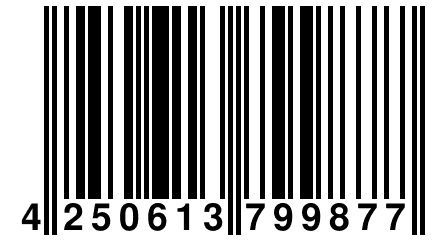 4 250613 799877