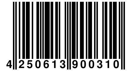 4 250613 900310