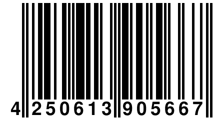 4 250613 905667