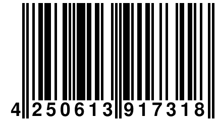 4 250613 917318